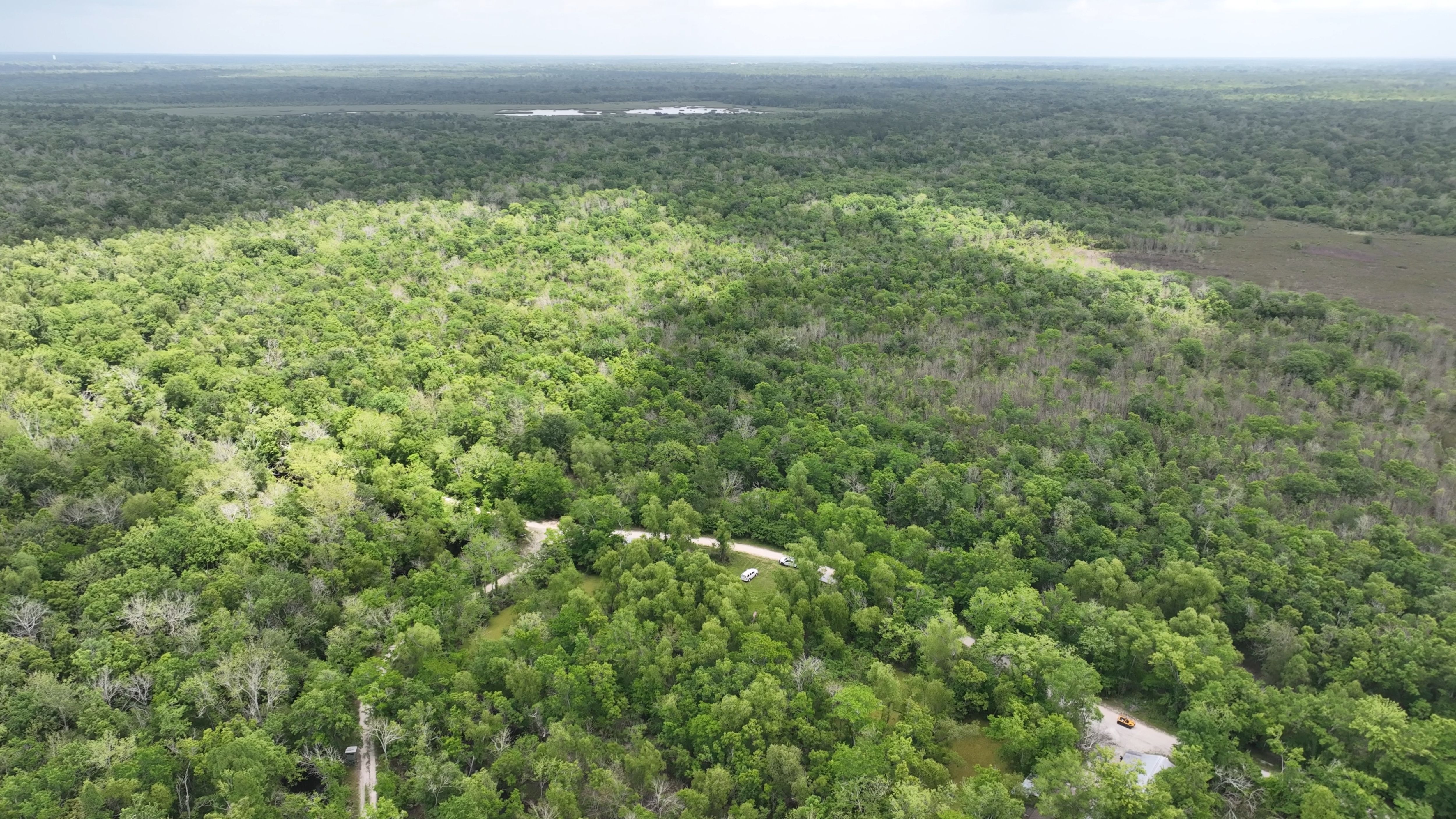 Listing Photo: South Louisiana Spanish Lake